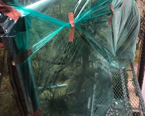 住宅サンプル_200916_5